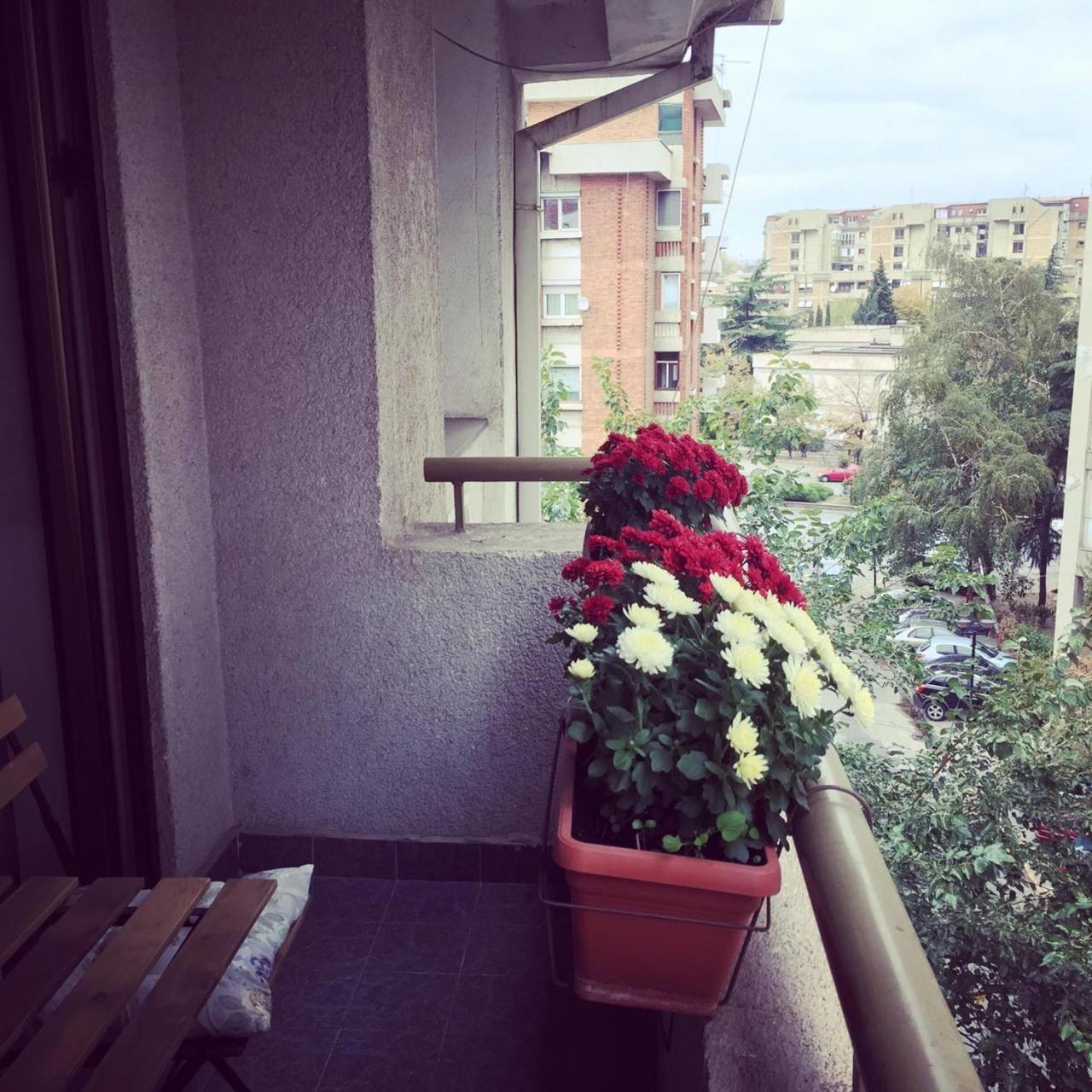 3 Bedroom Home With Parking Garage In The Heart Of Skopje Luaran gambar